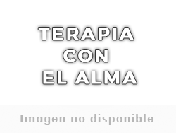 Cursos y Talleres