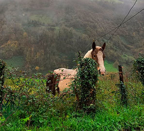 Retiros Espirituales